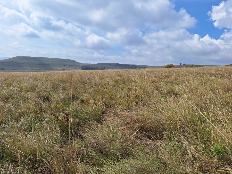 11 Bedroom Property for Sale in Vrede Free State